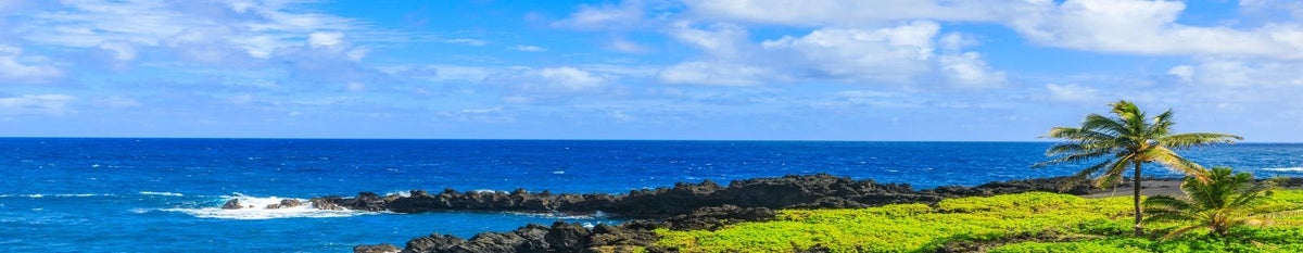 Hilo Hattie Maui - Souvenirs, Clothing, Jewelry, Art, and More! Hilo hattie near me